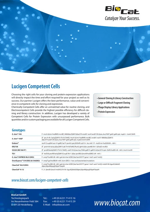Competent_Cells_180426.pdf Preview