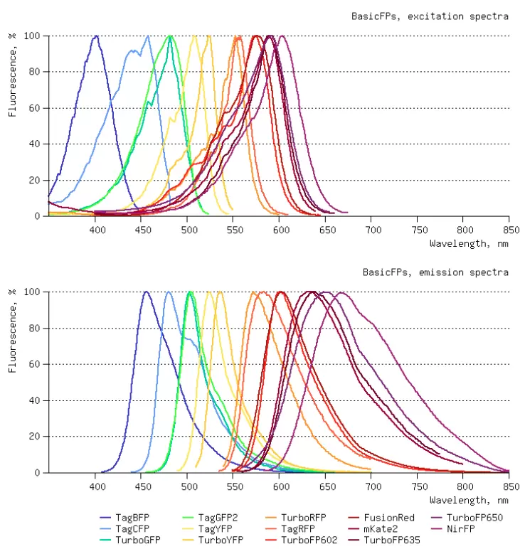 Fluorescent Proteins Spectra