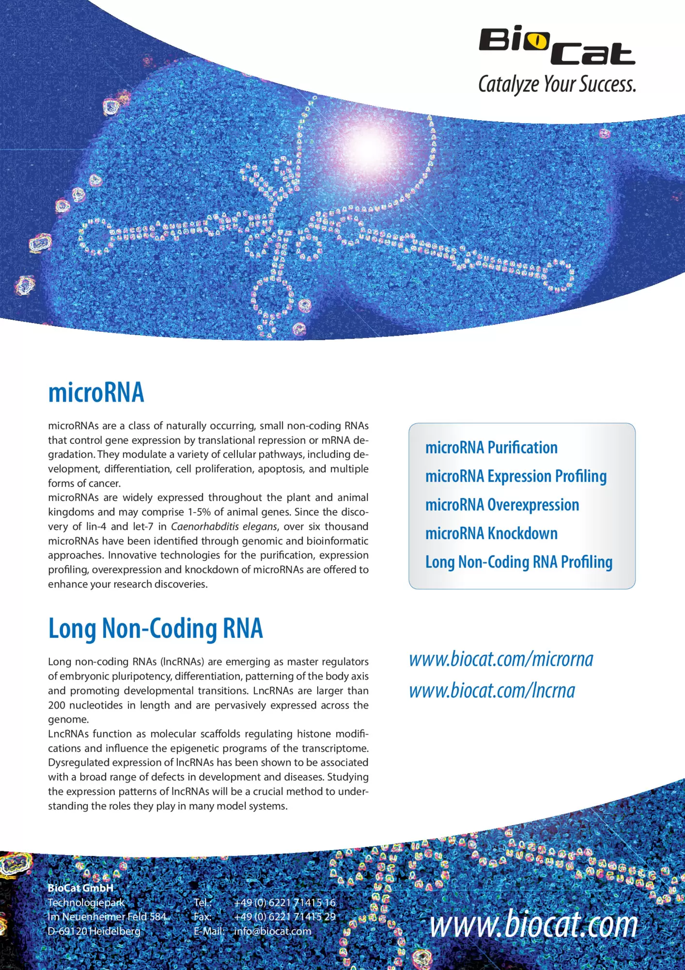microRNA_lncRNA_20160307.pdf Preview