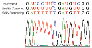 P9003 Bisulfite Sequencing Data