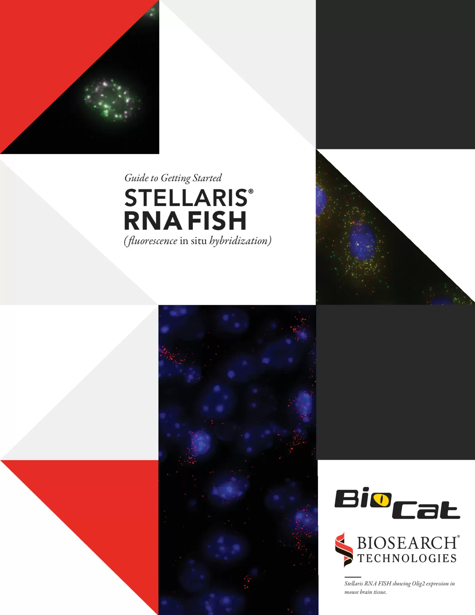 Stellaris_RNA_FISH_Guide_20150219.pdf Preview